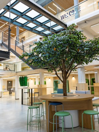 Photo of the renovated interior of the Rennes campus of INSEEC business school