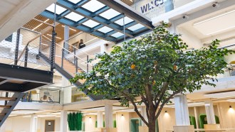 Photo of the renovated interior of the Rennes campus of the INSEEC business school